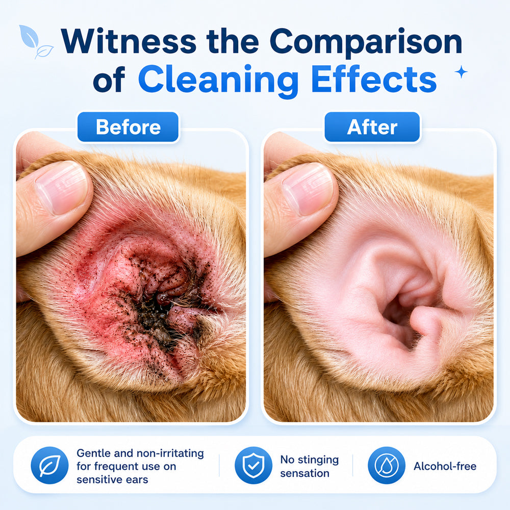 👩‍⚕️Celsiora® Pet Ear Cleansing Solution✅ FDA Approved
