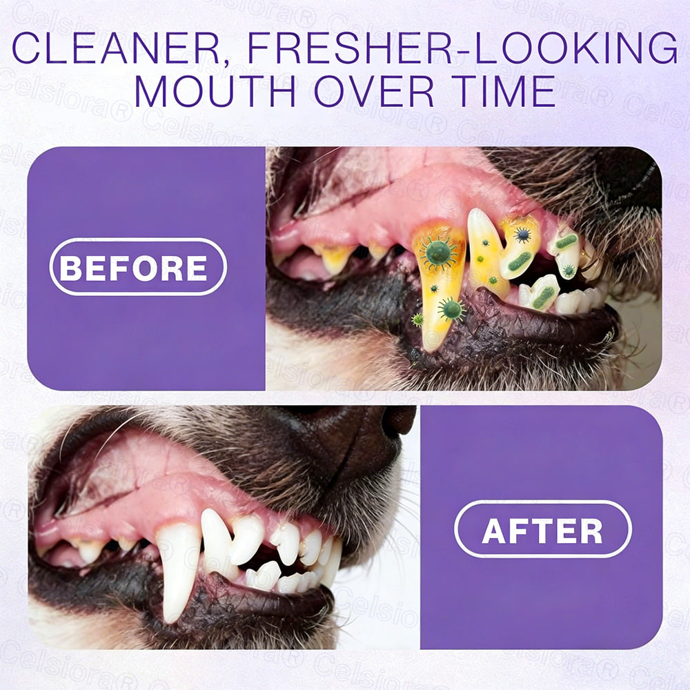 Celsiora® Pet Oral Spray ✅ Freshen Breath, Remove Tartar & Promote gum regeneration, stabilize teeth 🦷🦷
