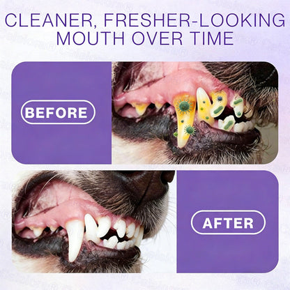 Celsiora® Pet Oral Spray ✅ Freshen Breath, Remove Tartar & Promote gum regeneration, stabilize teeth 🦷🦷