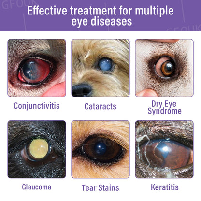 👩‍⚕️GFOUK® NanoCare Pet Eye Drops ☑️ Relieves Conjunctivitis, Dry Eyes, Cataracts, and Keratitis😺