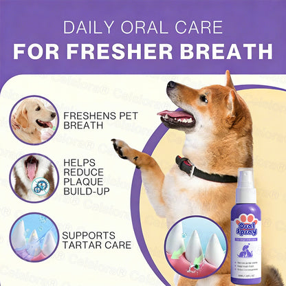 Celsiora® Pet Oral Spray ✅ Freshen Breath, Remove Tartar & Promote gum regeneration, stabilize teeth 🦷🦷