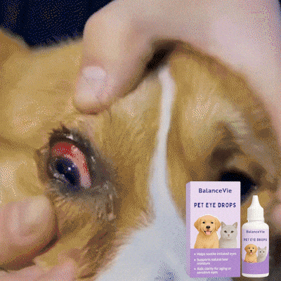 👩‍⚕️GFOUK® NanoCare Pet Eye Drops ☑️ Relieves Conjunctivitis, Dry Eyes, Cataracts, and Keratitis🐶 up