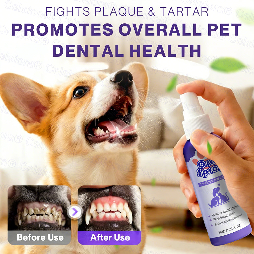 Celsiora® Pet Oral Spray ✅ Freshen Breath, Remove Tartar & Promote gum regeneration, stabilize teeth 🦷🦷