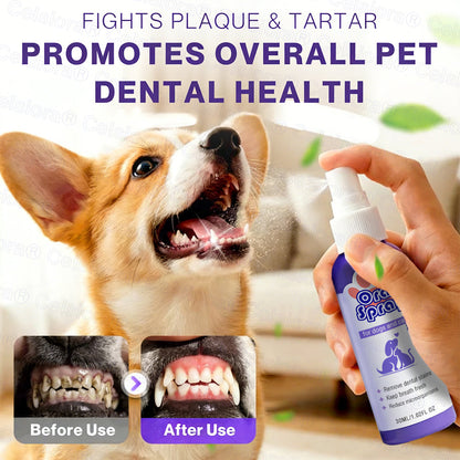Celsiora® Pet Oral Spray ✅ Freshen Breath, Remove Tartar & Promote gum regeneration, stabilize teeth 🦷🦷